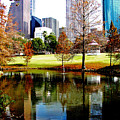 City in the Park