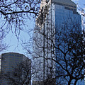 The City Through the Trees in Blue